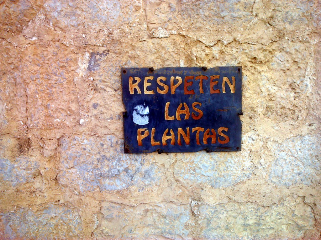 Respeten las plantas